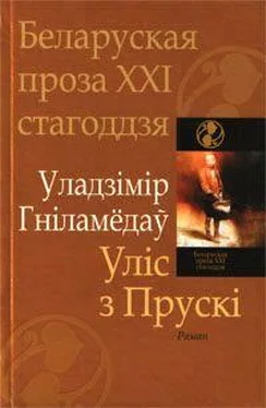 Уладзімір Гніламёдаў Уліс з Прускі обложка книги