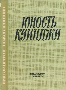 Виктор Шутов Юность Куинджи обложка книги