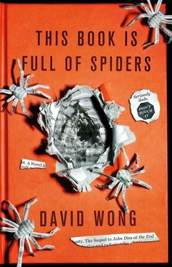 Девид Вонг Эта книга полна пауков обложка книги