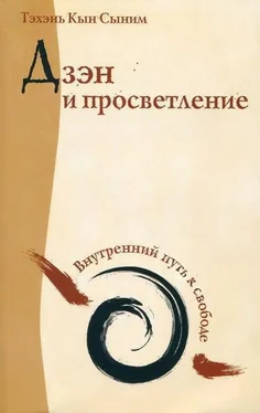 Тэхэнь Кын Сыним Дзэн и просветление. Внутренний путь к свободе обложка книги