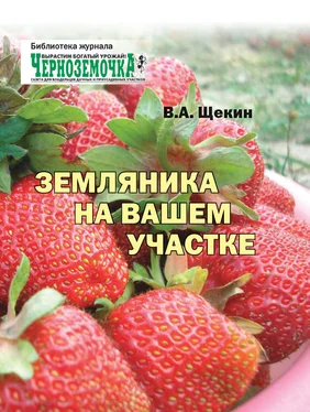 Владимир Щекин Земляника на вашем участке обложка книги