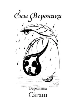 Вероника Сагаш Сны Вероники (сборник) обложка книги