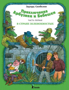 Эдуард Скобелев Приключения Арбузика и Бебешки. В стране зеленохвостых обложка книги