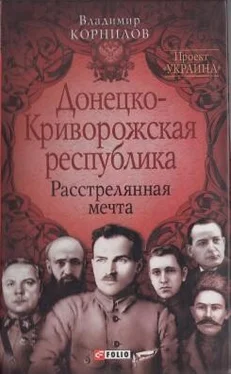 Владимир Корнилов Донецко-Криворожская республика: расстрелянная мечта обложка книги