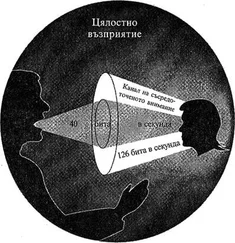 Уин Уенджър - Факторът Айнщайн