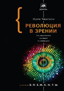 Марк Чангизи Революция в зрении: Что, как и почему мы видим на самом деле обложка книги