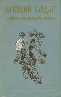 Аркадий Гайдар Том 4. В дни поражений и побед. Дневники обложка книги