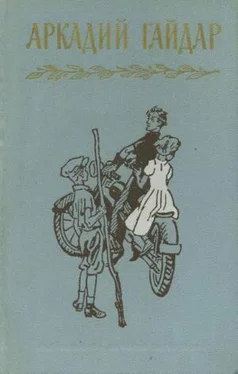 Аркадий Гайдар Том 3. Повести и рассказы. Фронтовые записи обложка книги