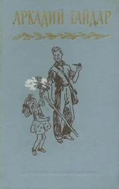 Аркадий Гайдар Том 2. Дальние страны. Военная тайна обложка книги