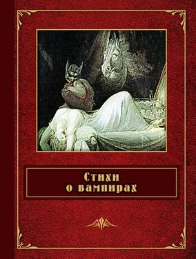 Федор Сологуб Стихи о вампирах (сборник) обложка книги