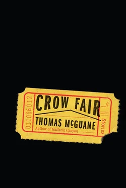 Thomas McGuane Crow Fair: Stories обложка книги