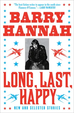 Barry Hannah Long, Last, Happy: New and Collected Stories обложка книги