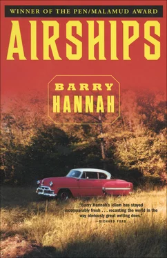 Barry Hannah Airships обложка книги