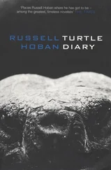 Russell Hoban - Turtle Diary