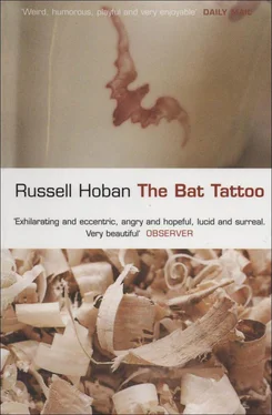 Russell Hoban The Bat Tattoo обложка книги