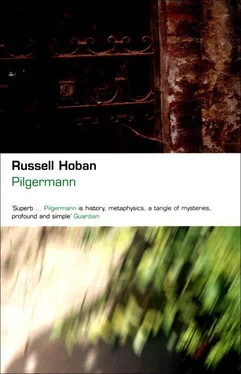 Russell Hoban Pilgermann обложка книги