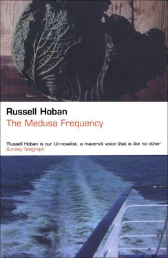 Russell Hoban Medusa Frequency обложка книги