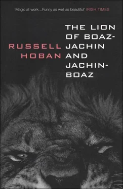 Russell Hoban The Lion of Boaz-Jachin and Jachin-Boaz обложка книги