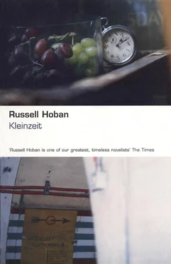 Russell Hoban Kleinzeit обложка книги