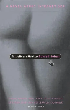 Russell Hoban Angelica's Grotto обложка книги