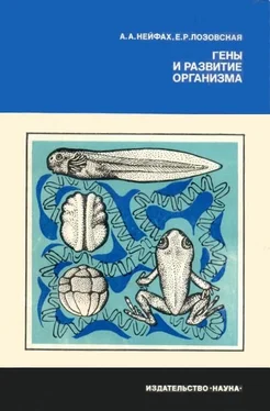 Александр Нейфах Гены и развитие организма обложка книги