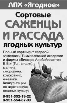 Хорошего Вам урожая Заготовки из садовой земляники клубники Сначала - фото 4
