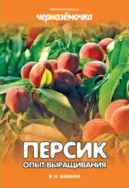 Владимир Бабенко Персик. Опыт выращивания обложка книги