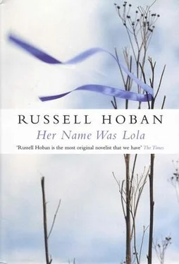 Russell Hoban Her Name Was Lola обложка книги