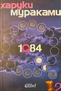Харуки Мураками 1Q84 (Книга втора) обложка книги