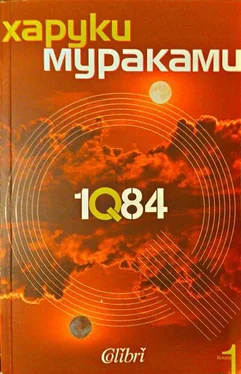 Харуки Мураками 1Q84 (Книга първа) обложка книги