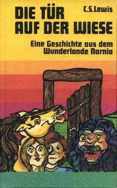 C. Lewis Die Tür auf der Wiese обложка книги