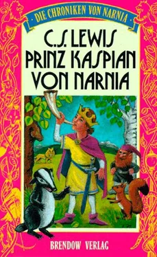 Clive Lewis Wiedersehen in Narnia обложка книги