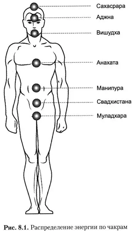 1 Муладхара земля выживание Быть существовать 2 Свадхистана половое - фото 4