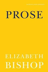 Elizabeth Bishop - Prose