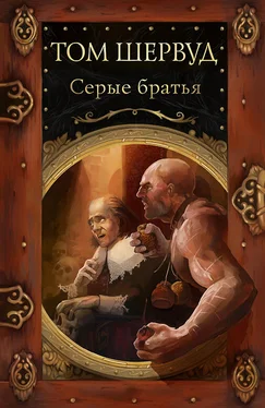 Том Шервуд Серые братья обложка книги