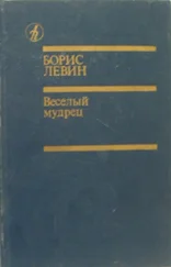 Борис Левин - Веселый мудрец