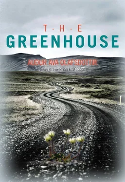 Auður Ólafsdóttir The Greenhouse обложка книги
