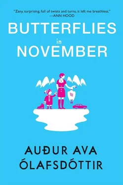 Auður Ólafsdóttir Butterflies in November обложка книги