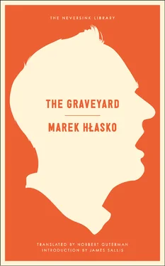 Marek Hlasko The Graveyard обложка книги