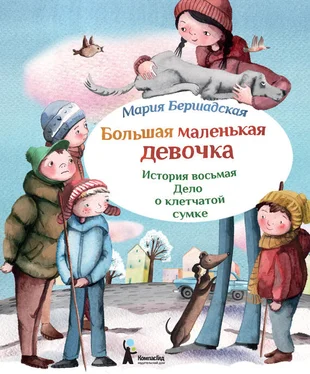 Мария Бершадская Дело о клетчатой сумке обложка книги