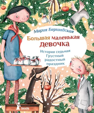 Мария Бершадская Грустный радостный праздник обложка книги