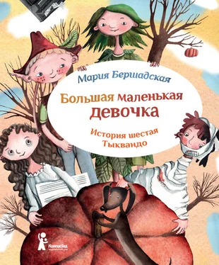 Мария Бершадская Тыквандо обложка книги