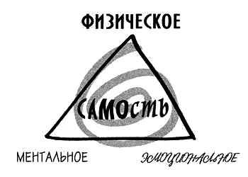 Физическая эмоциональная и ментальная плоскости описывают три аспекта Самости - фото 8