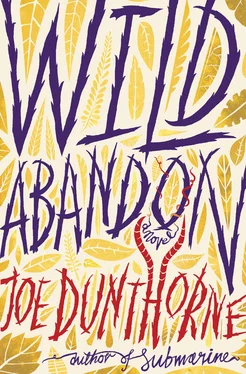 Joe Dunthorne Wild Abandon обложка книги