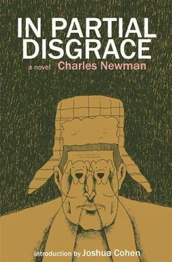 Charles Newman In Partial Disgrace обложка книги