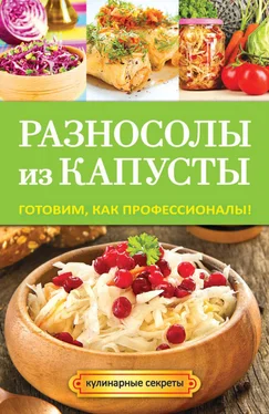 Анастасия Кривцова Разносолы из капусты. Готовим, как профессионалы! обложка книги