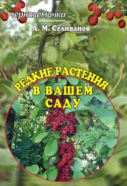 Александр Селиванов Редкие растения в вашем саду обложка книги