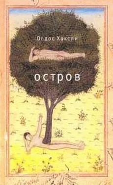 Олдос Хаксли Остров обложка книги