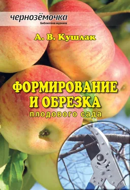 Алексей Кушлак Формирование и обрезка плодового сада обложка книги