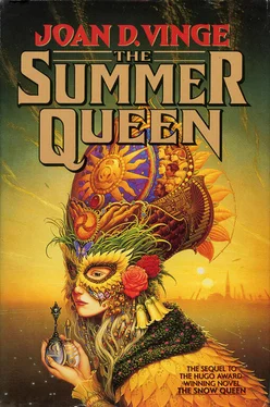 Joan Vinge The Summer Queen обложка книги